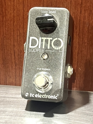Store Special Product - TC Electronic - DITTO LOOPER